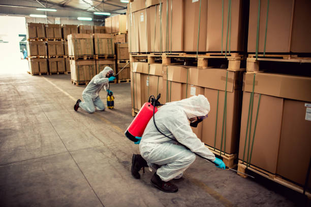 Best Pest Removal Services  in Whitehouse, OH