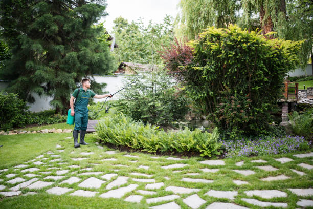 Wasp Removal Services in Whitehouse, OH
