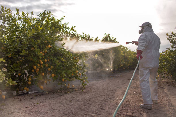 Best Emergency Pest Control  in Whitehouse, OH