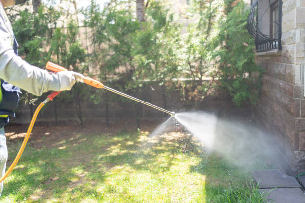 Reliable Whitehouse, OH Pest Control Solutions