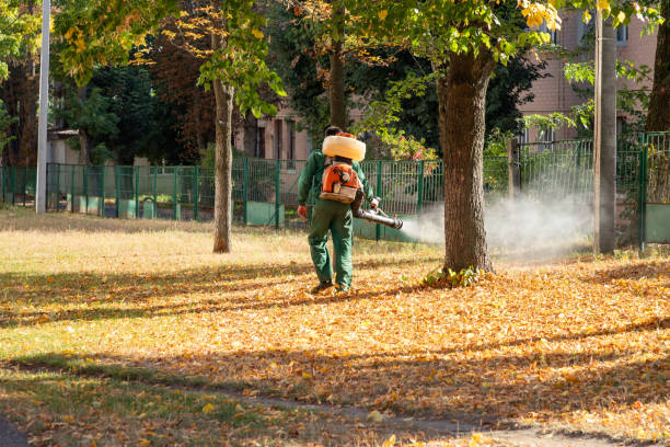 Best Wildlife Control Services  in Whitehouse, OH