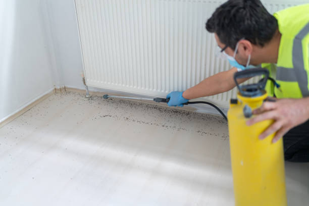 Best Pest Control Cost  in Whitehouse, OH